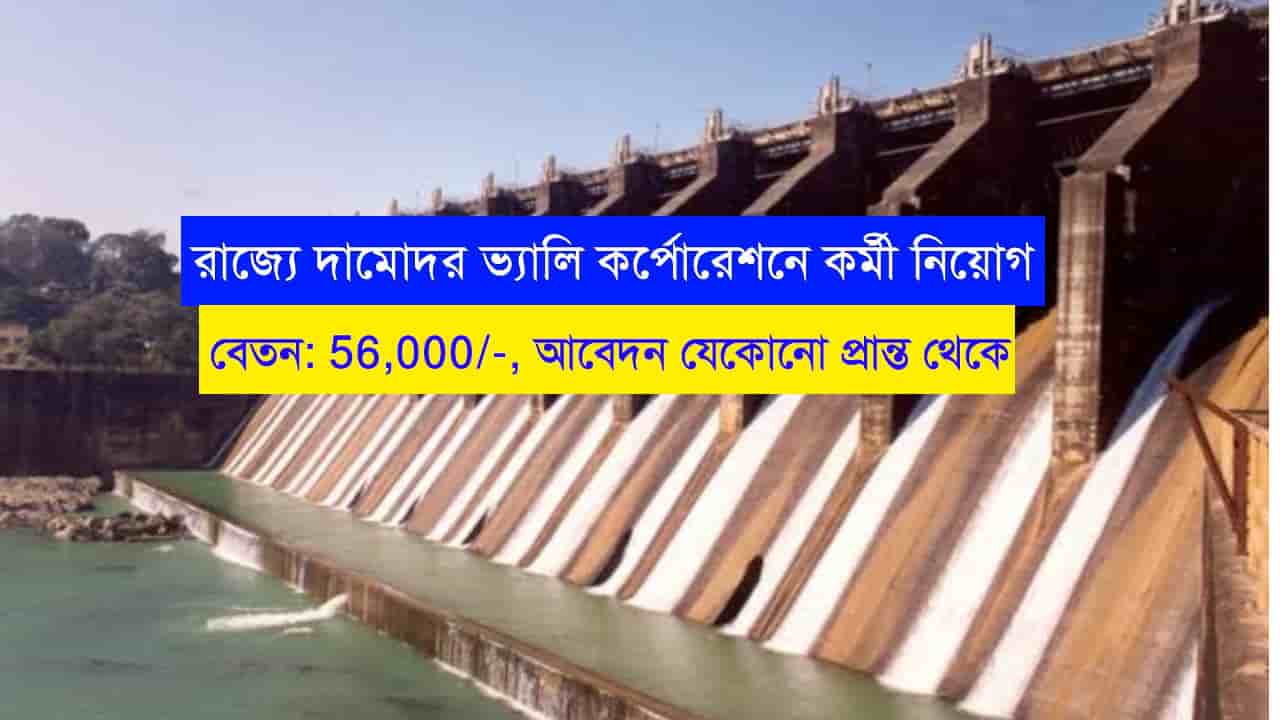 DVC Job Recruitment 2023