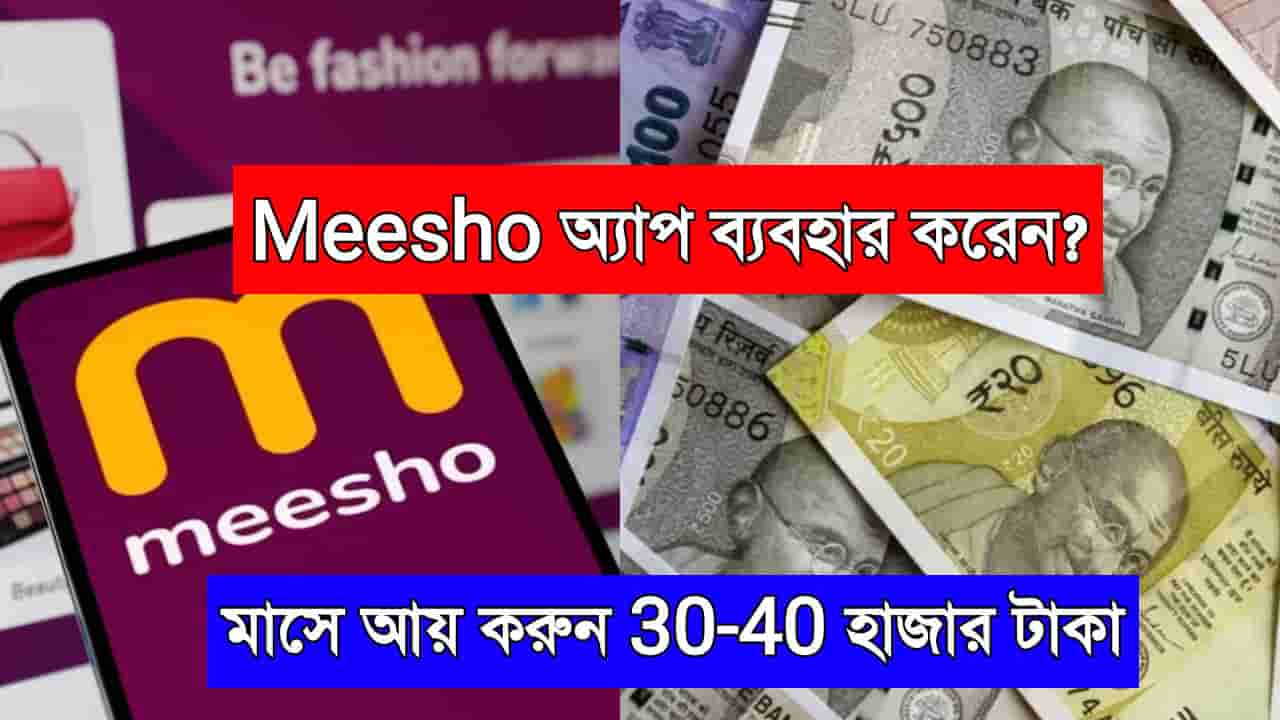 Meesho Online Earning 2025